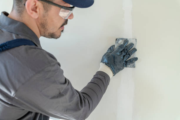 Hamilton, TX Mold Removal Company